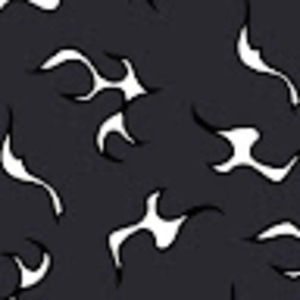 Meet your Posher, Kendi